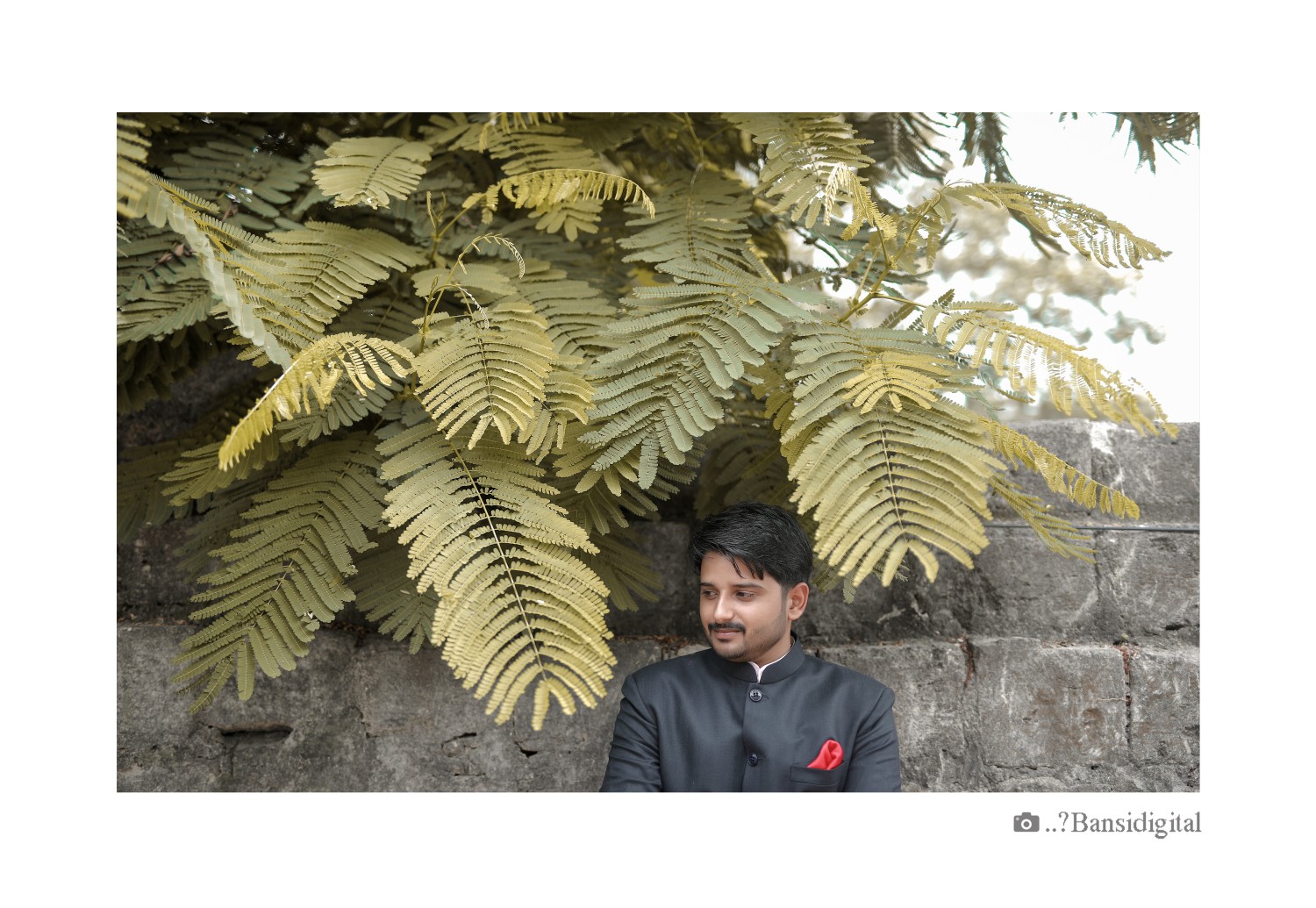 Bansi  Digital 