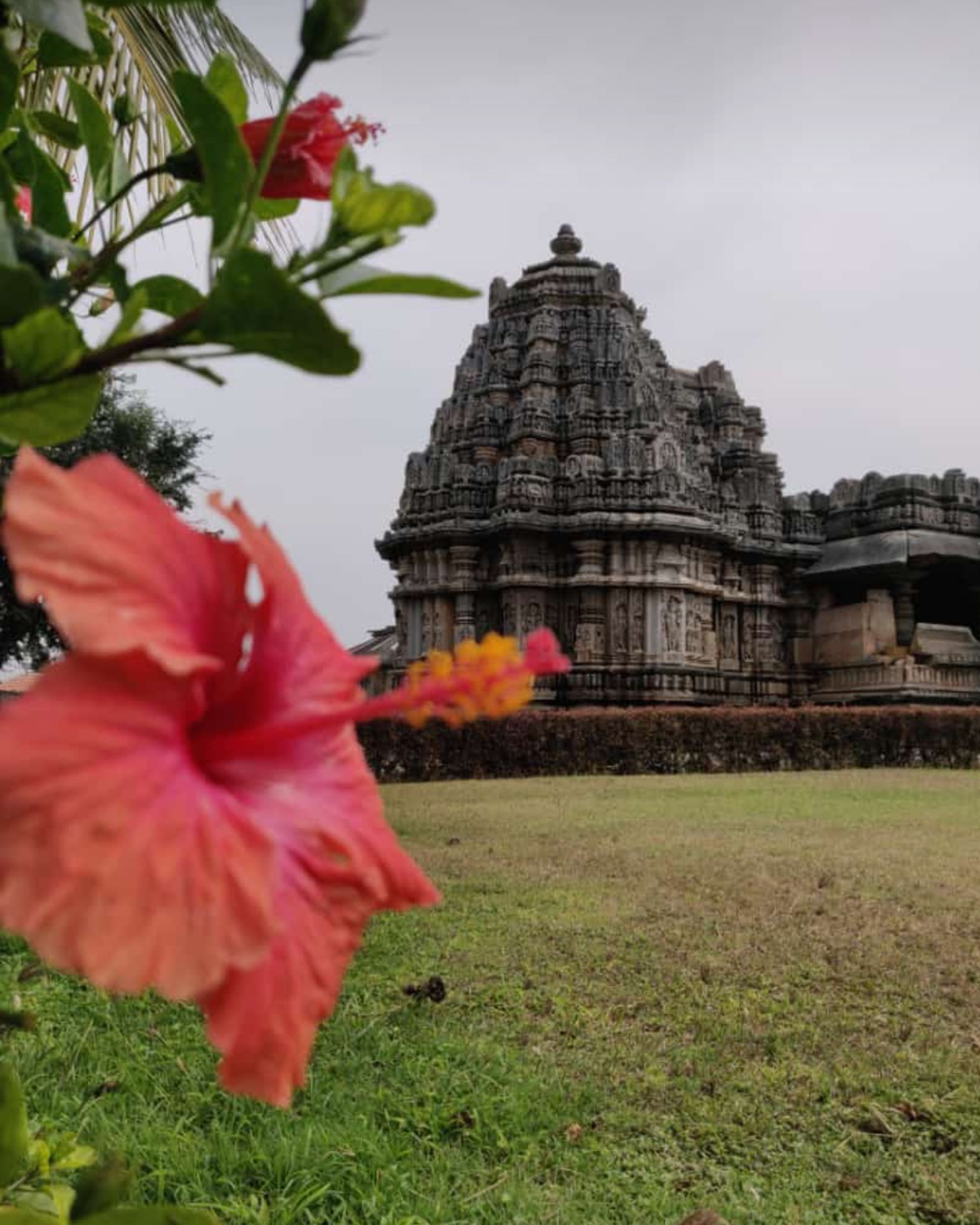 Pradhyumna Kosaraju