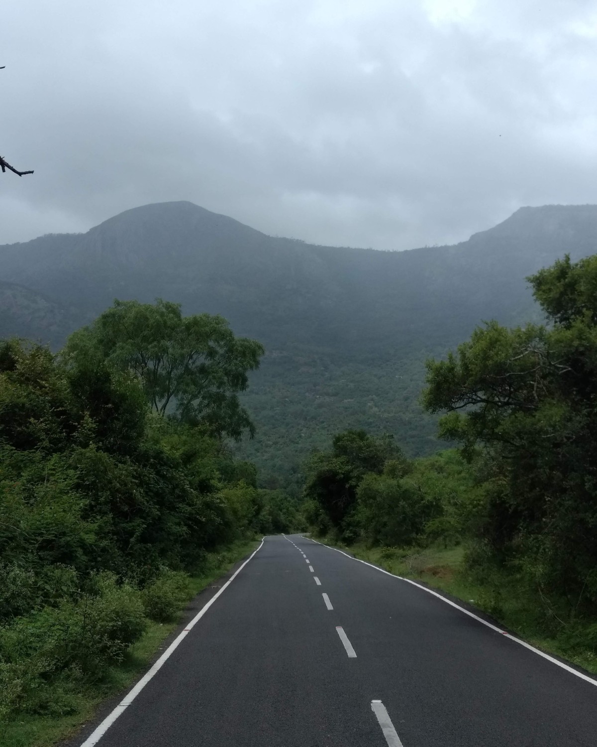 Pradhyumna Kosaraju